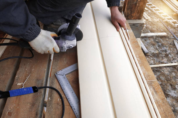 Best Custom Trim and Detailing for Siding  in Lake Andes, SD