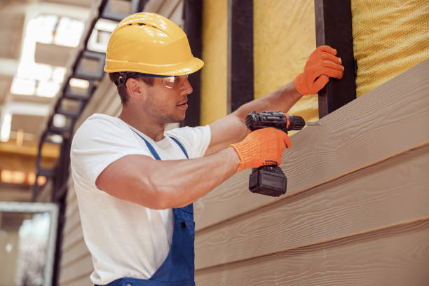 Best Brick Veneer Siding  in Lake Andes, SD